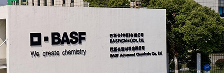 巴斯夫.png